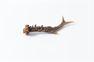 Image description is not available for 2011.58.1